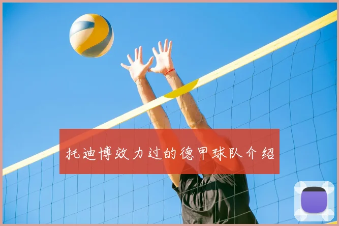 托迪博效力过的德甲球队介绍