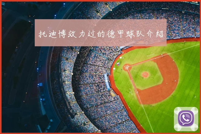 托迪博效力过的德甲球队介绍